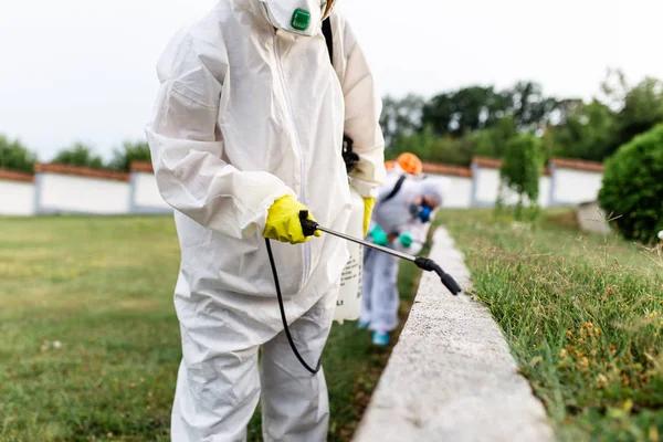 Affordable Pest Control Services Chicago for Homes & Businesses