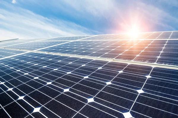 Trusted Solar Energy Company Los Angeles for Home and Business Needs