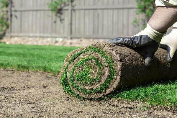How Professional Landscaping Services Can Transform Your Outdoor Space